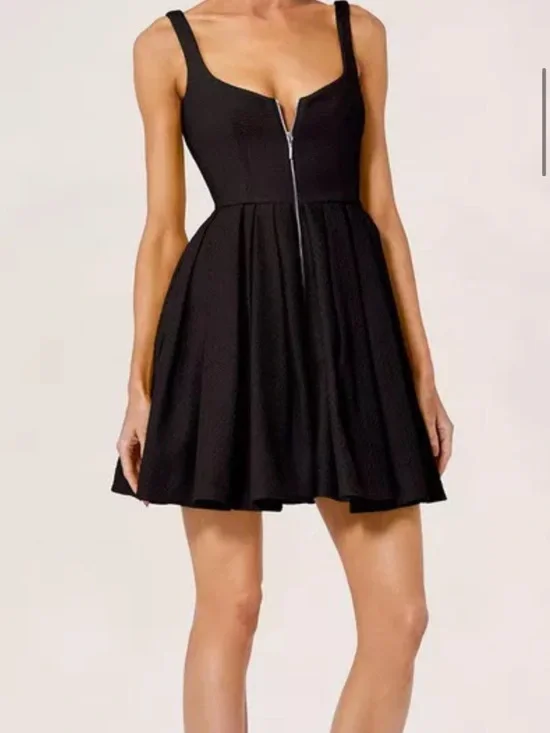 Classic Black Zip-Front Sleeveless Skater Dress - Picture 5 of 6